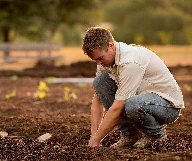 Farmer planting